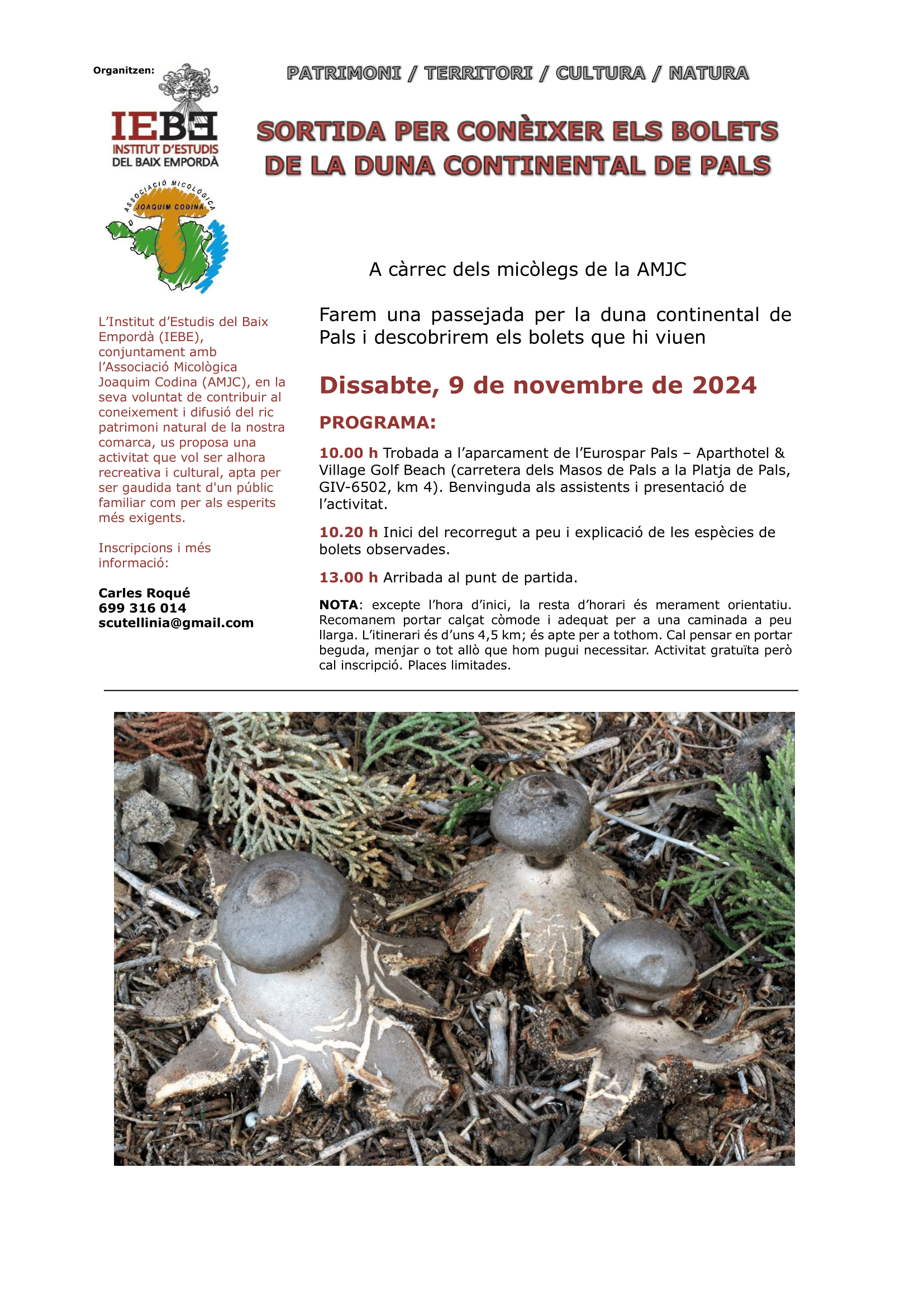 Cartell Sortida Micològica Pals-1